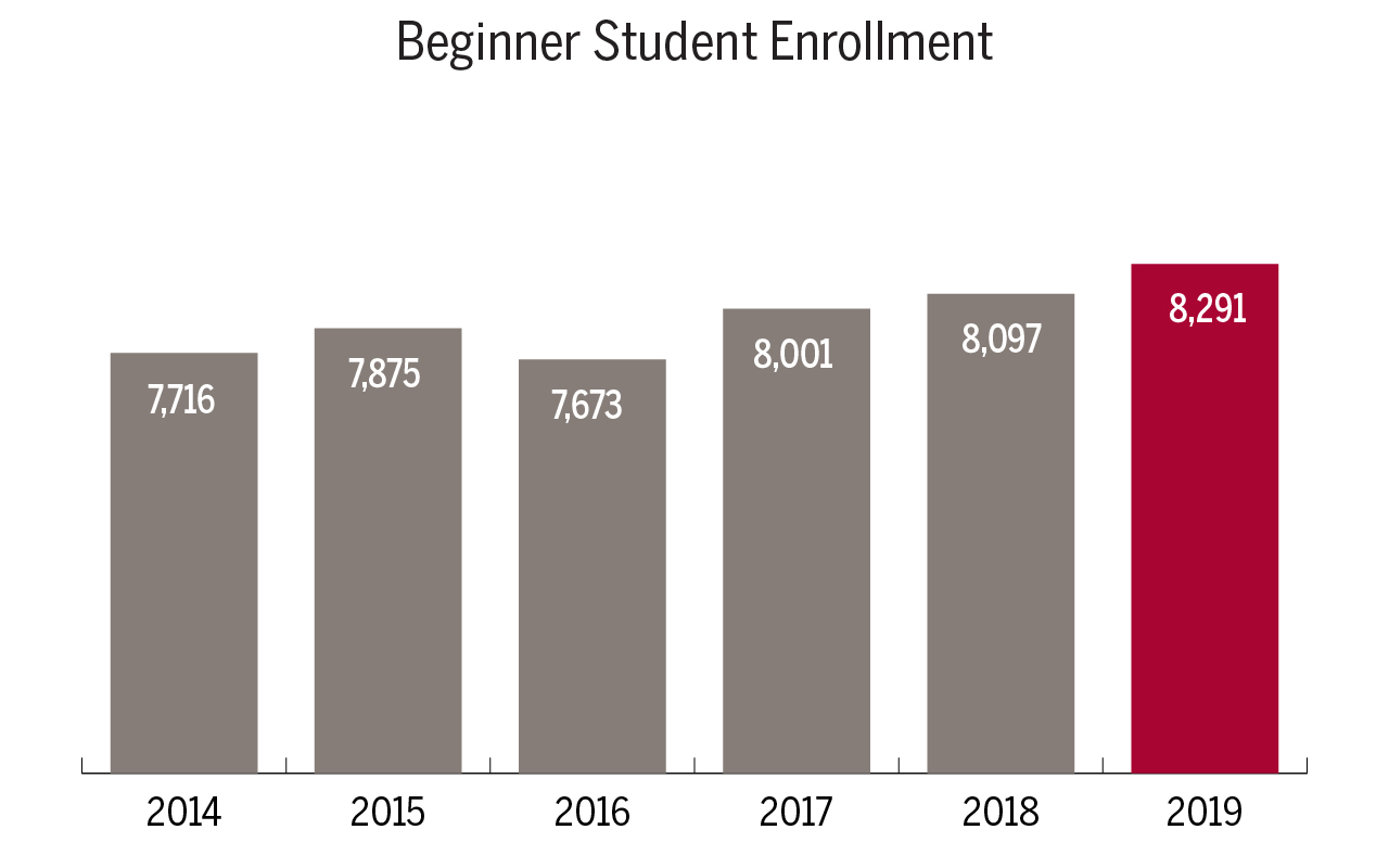 Beginner Student Enrollment graph shows 7,716 students in 2014, 7,875 students in 2015, 7,673 students in 2016, 8,001 students in 2017, 8,097 students in 2018, and 8,291 students in 2019. 